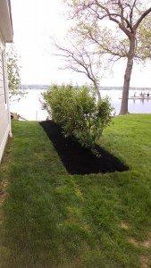 Second Look Maintenance