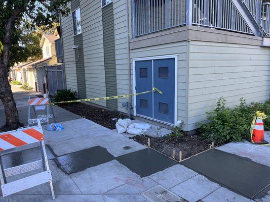 Your neighborhood amigo