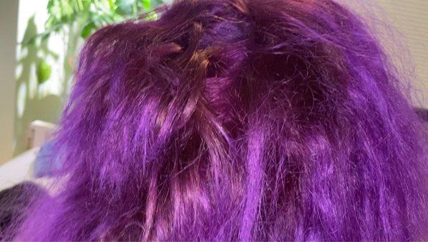 what my head looks like from the back