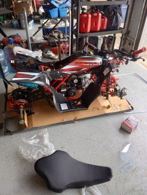 Jackass of ALL Trades