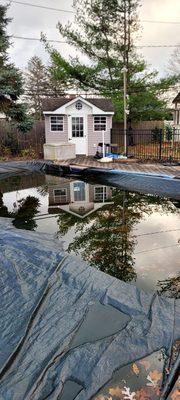 Dive-In Pool Service