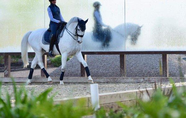 Excellent footing, great training and always a warm and welcoming environment.... Arroyo Del Mar.