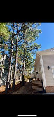 Barnes Brothers Tree Service LLC