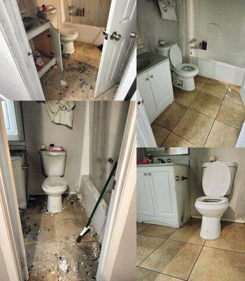 Freshly Cleaning Pro