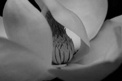 Apfelfoto Imaging Studio