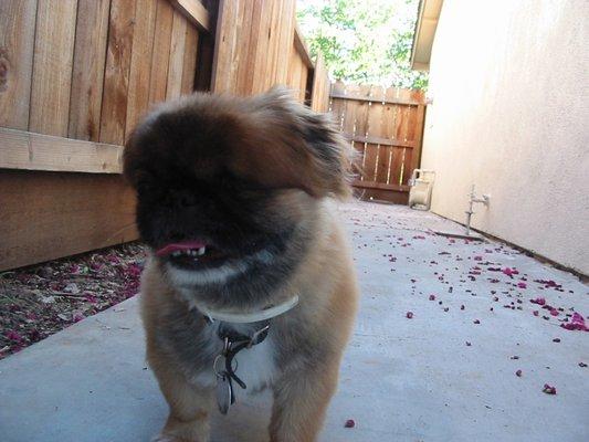 Truck & Driver Distance