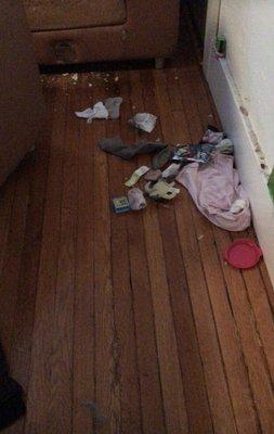 before cleaning and organizing