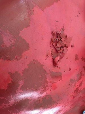 This is the material Fibrenew - Marietta sprayed on my Italian Leather sofa.