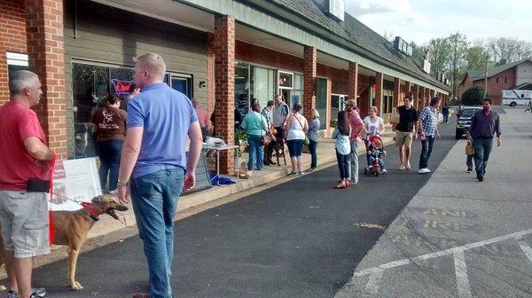 Greyhound Rescue Group