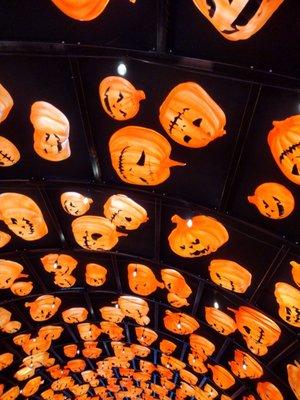 The tunnel of pumpkins i mentioned in my review