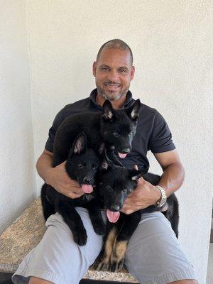 Top Dog Boarding & Training