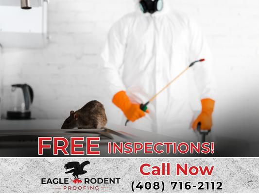 100% Free Rodent Inspection!