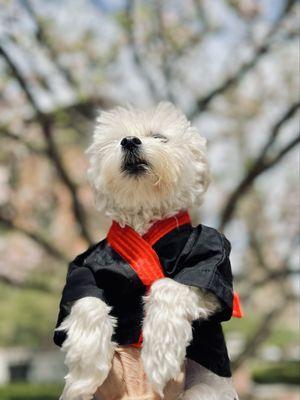 Dr Smallz in his ghee