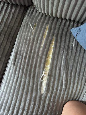 Foothills Family Furniture