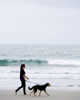 The Royal Paw Pet Care