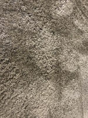 Perfect carpet my dad even noticed it in my photo sent to him!