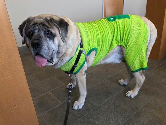 Muller Veterinary Hospital