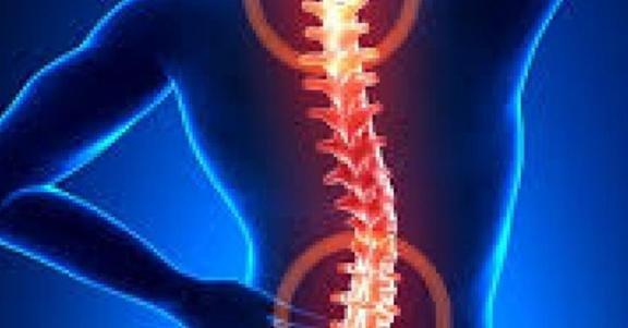 Washburn Chiropractic