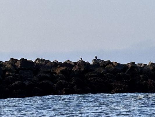 Yaquina Bay Charters