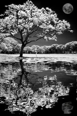 Reflecting and Memorializing loved ones