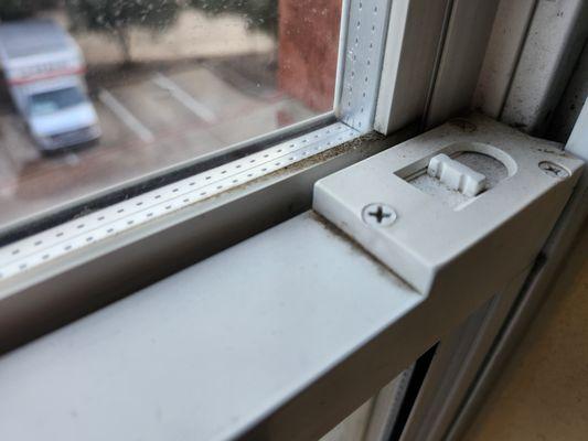 TownePlace Suites Dallas Bedford