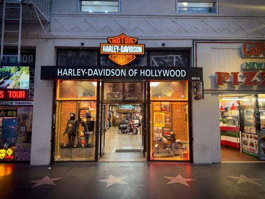 Hollywood Harley Davidson