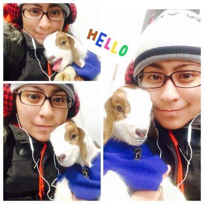 Philly's Dog walking/sitting