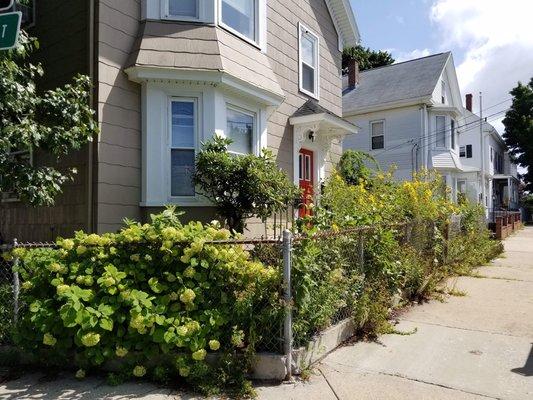 Candela's General Labor