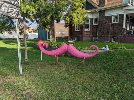 World's Largest Mustache, Chaska