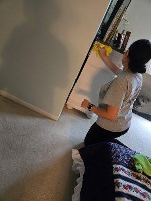 Behnke Cleaning Solution