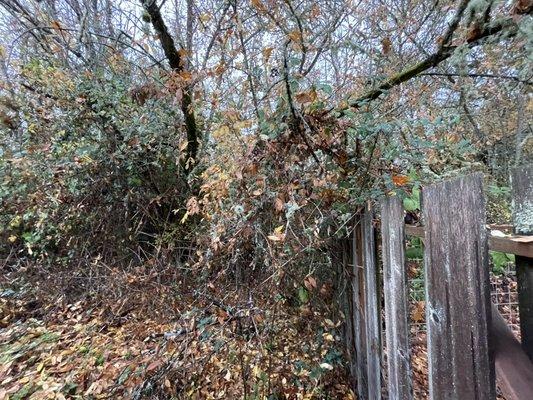 Cascade Cutting Services