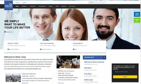 LMS Website Services