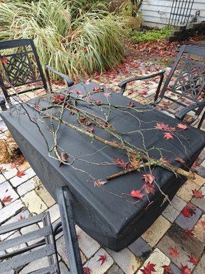 Evergreen Lawn Care & Landscaping