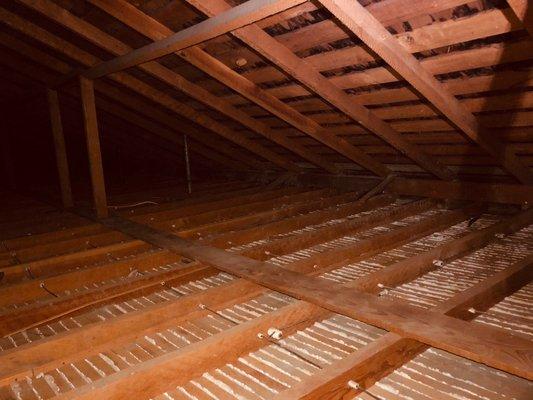 Attic clean up