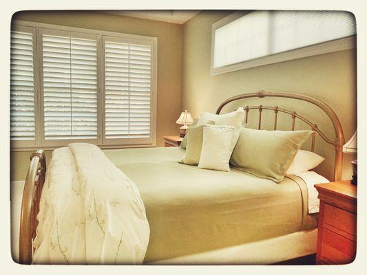 Opulence of Southern Pines