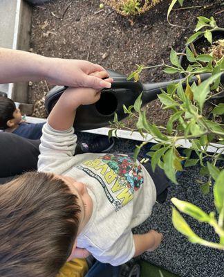 A Small World Infant & Toddler Center