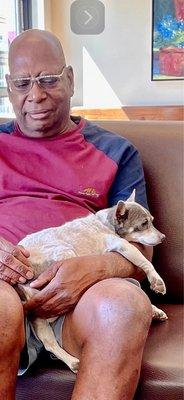 A Home 4 Spot Animal Rescue