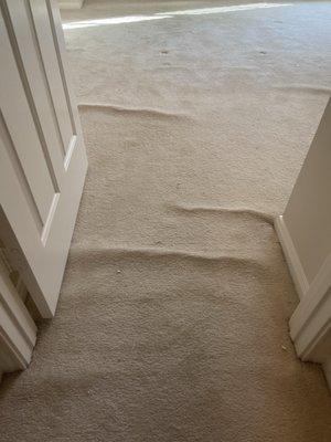 If your carpets look like this, we can fix it