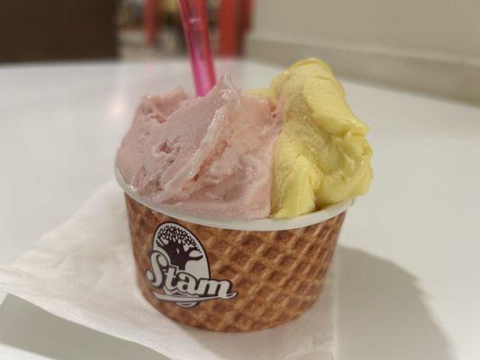 Chocolaterie Stam - Rochester