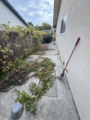 Gonzalez Handyman and Junk Removal