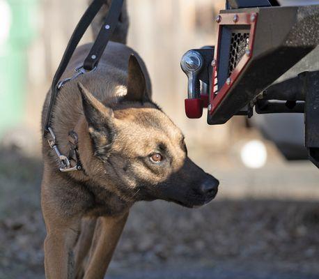 Conflicts Resolution Group