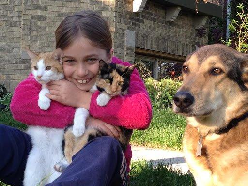 Conquest Pest Solutions