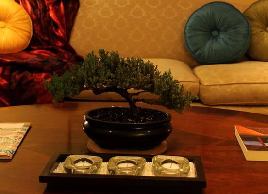 Five Elements of Healing