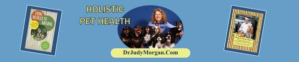 Holistic Veterinarian