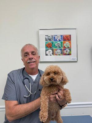 All Friends Animal Clinic