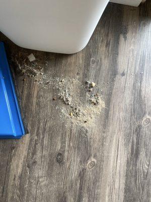 dirty floor the cleaning lady/man did NOT clean.