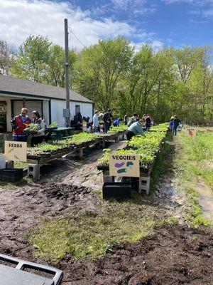 Indy Urban Acres Flower Farm