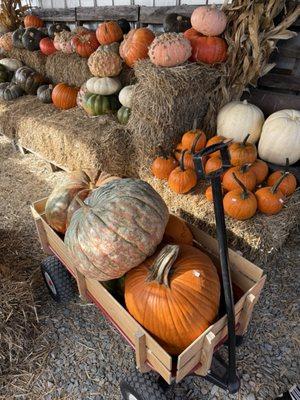 The Family Farm on Avent Ferry