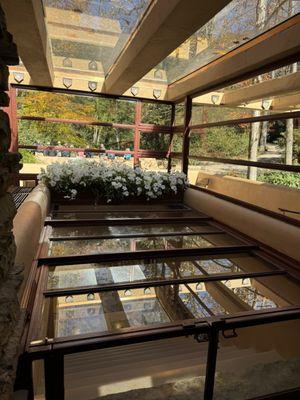 Access to one of the pools from the living room