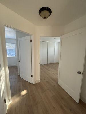 Mango Tree Apartments